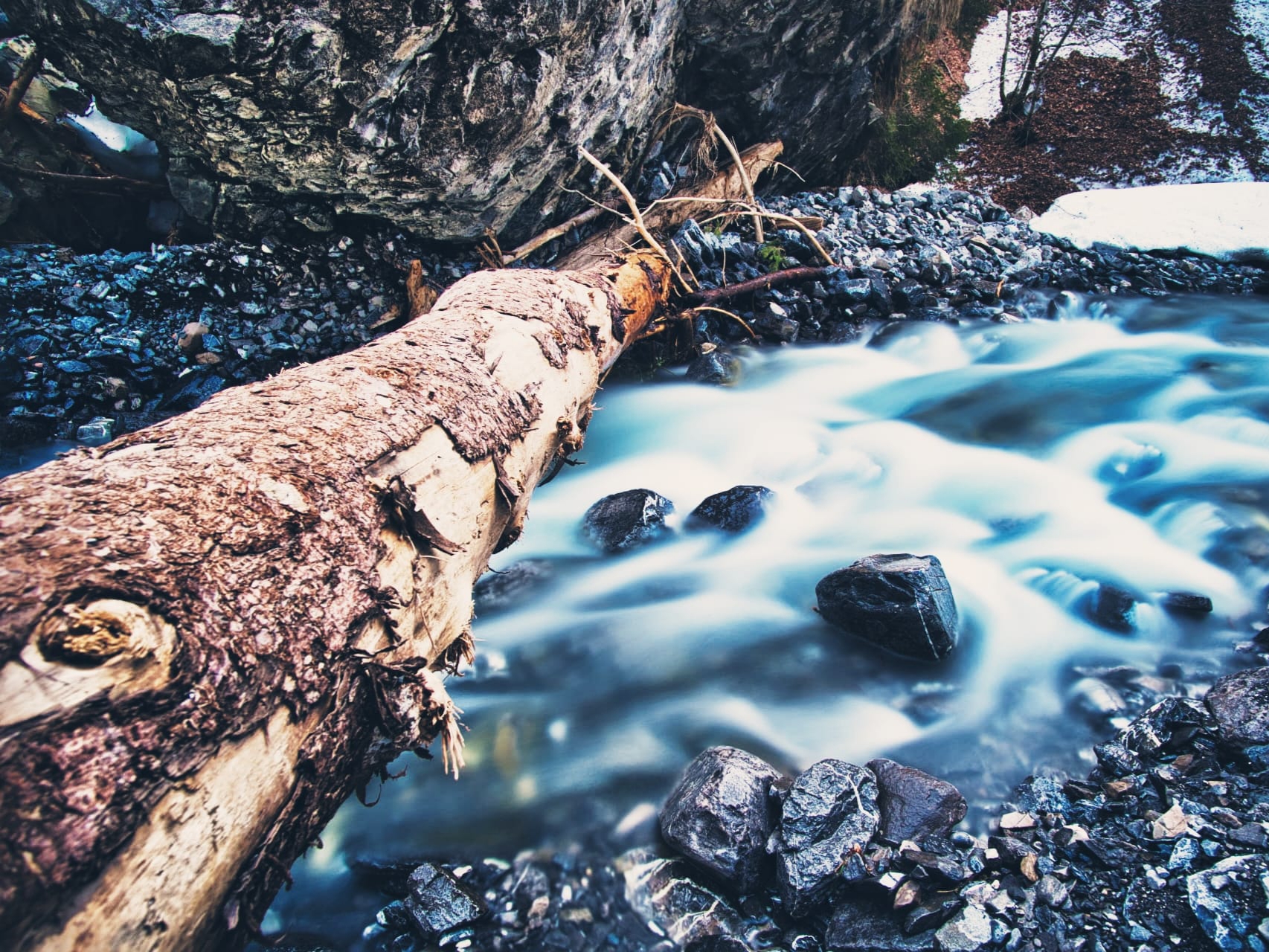 Baum über Wasser